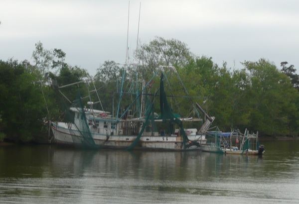 First Shrimp boat we spotted